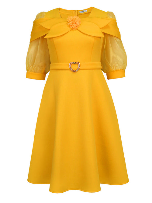 Bow Tie Sheer Lantern Sleeve Party A-Line Dress