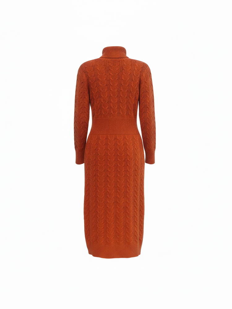 Solid Color Turtleneck Knit Dress
